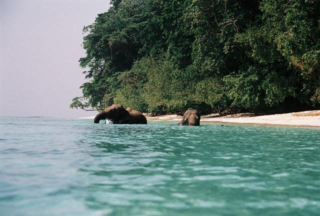 Andaman and Nicobar Islands: Rejoicing in Nature’s Treasure Trove