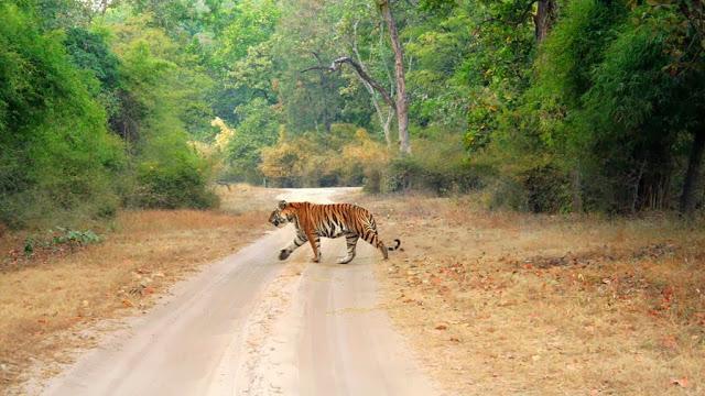 Bandhavgarh - Places to visit in India in Summer