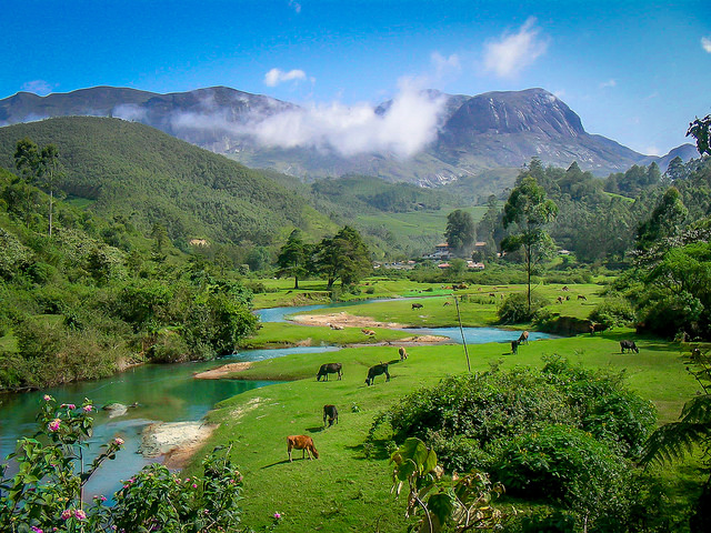 Munnar: Of Teas and Twists
