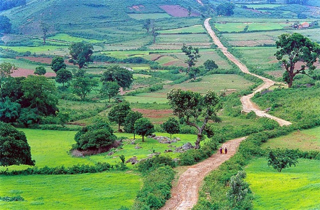  Araku