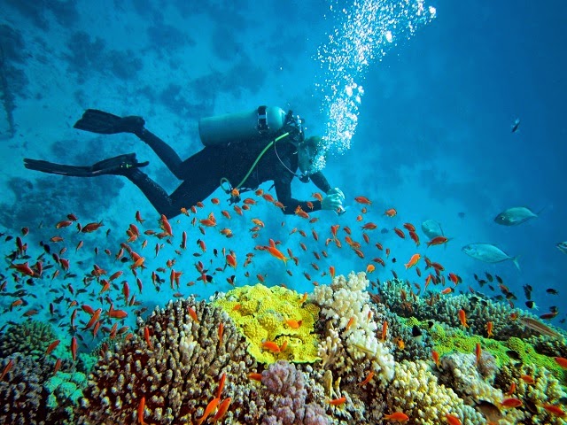 Scuba Diving in India