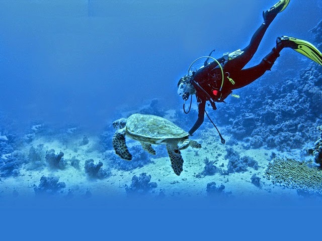 Snorkeling in India