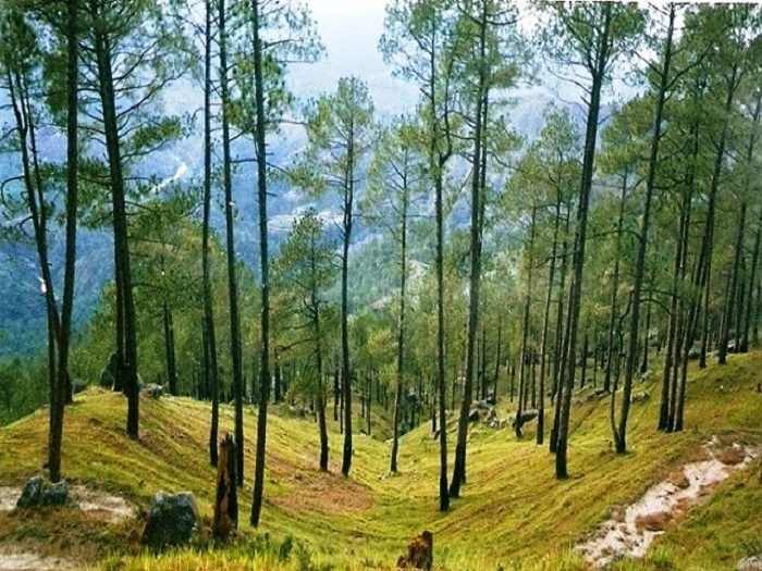 Almora - A popular hill station in Uttarakhand