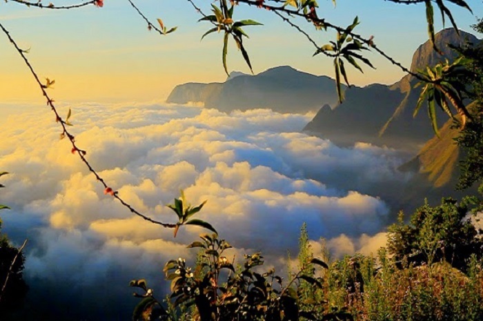 Top Hill Station in Munnar