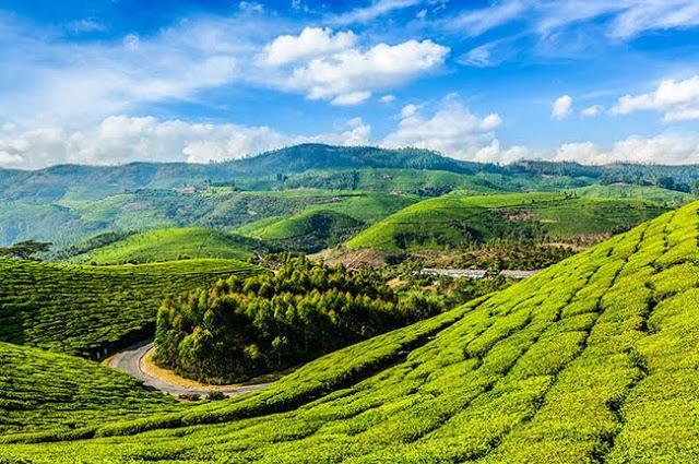 Munnar, Kerala