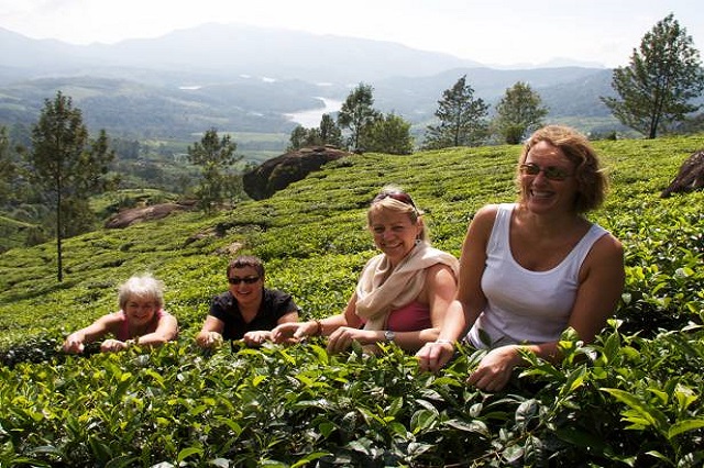 Munnar - Destinations in India for Women Solo Travelers