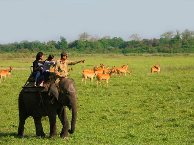 Kaziranga - Destinations in India for Women Solo Travelers