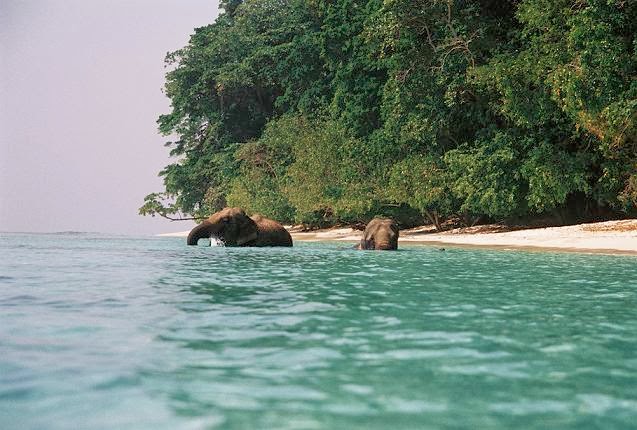 Havelock Island, the Andamans