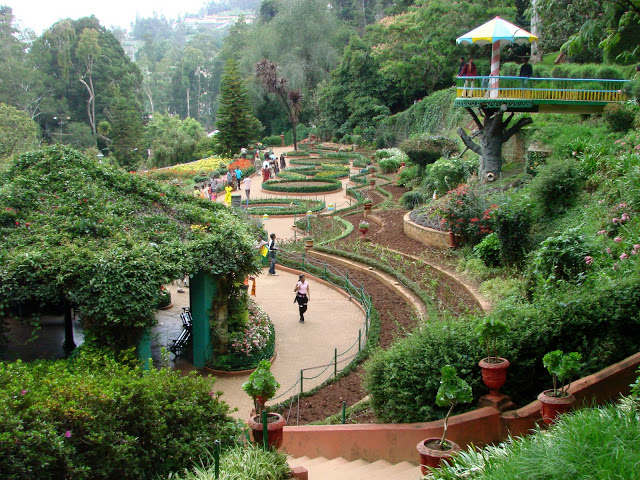 Botanical Garden, Ooty