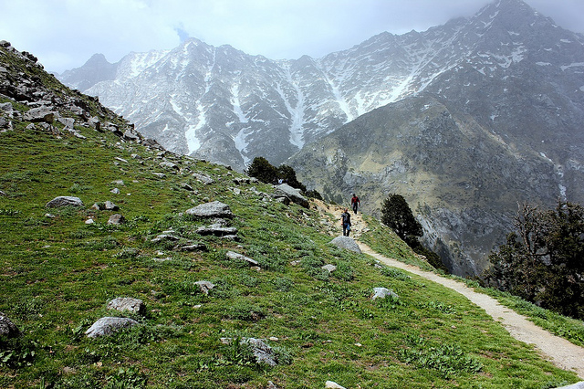 Triund