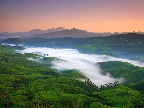 Munnar, Kerala