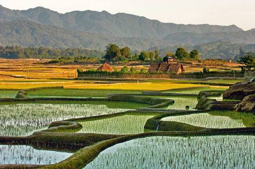 Ziro, Arunachal Pradesh