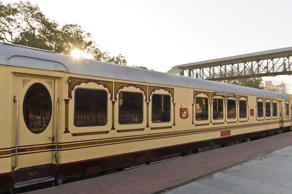 Aug 11 - Rare 'amber eyes' on the train from Agra to Delhi…