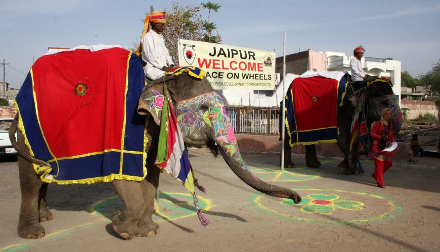 Royal Welcome in Jaipur