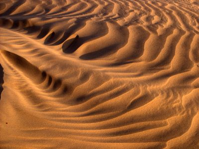 Sand Dunes Rajasthan