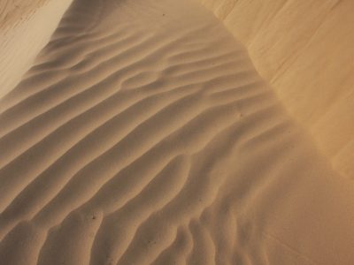 Sand Dunes Thar Desert Rajasthan