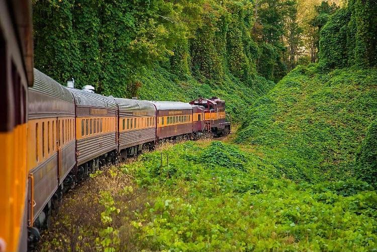 Great Smoky Mountains Railroad, USA