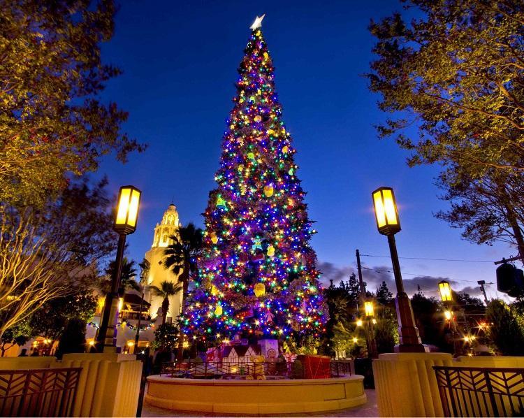 Christmas in Daman and Diu