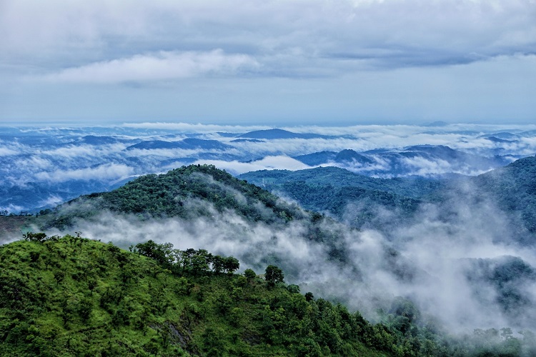 Wayanad, Kerala