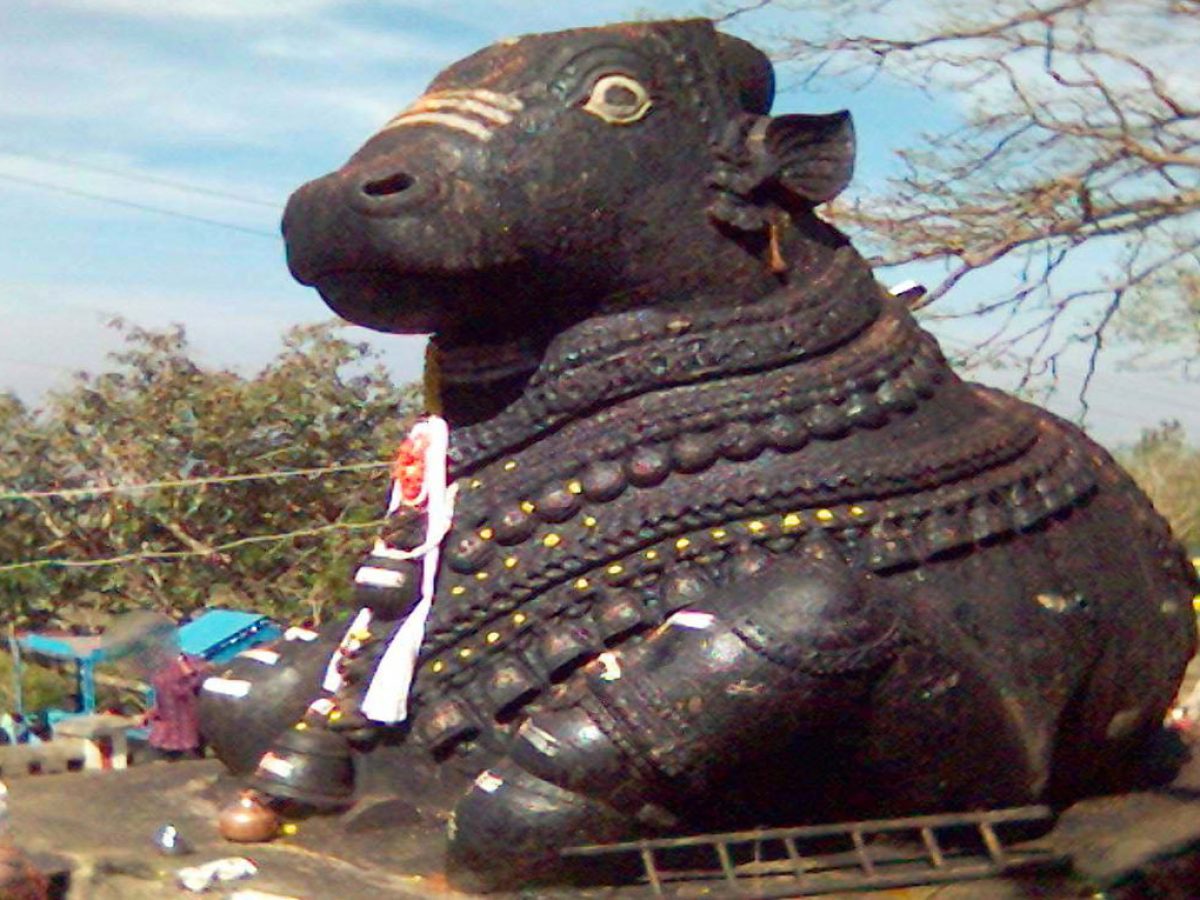 Nandi Temple, Mysore