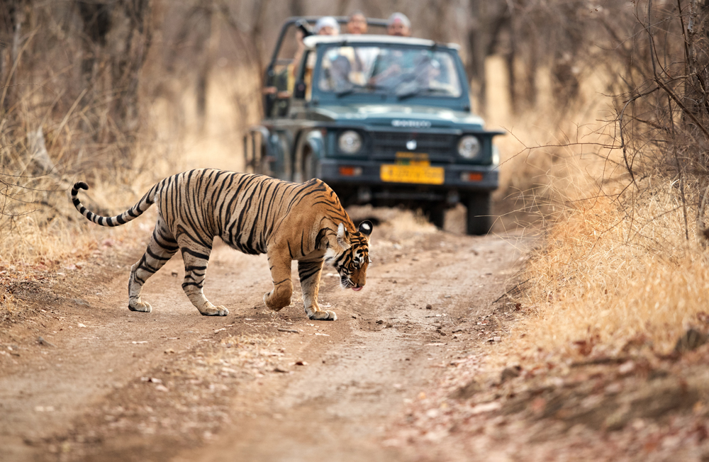 Day 2 - Monday - Agra - Ranthambore