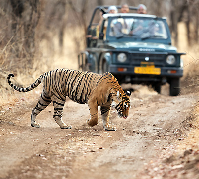 Treasures of India – Maharajas’ Express
