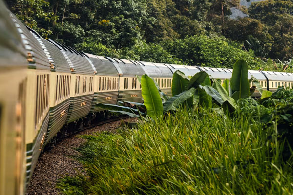 How do you book through Indian Luxury Trains, and what do they actually do
